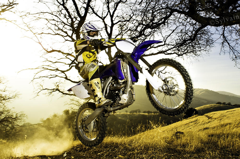 Sean_Web_2012_3